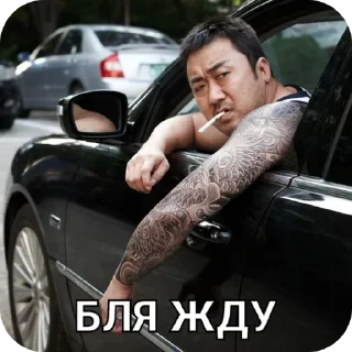 vehicle land vehicle person