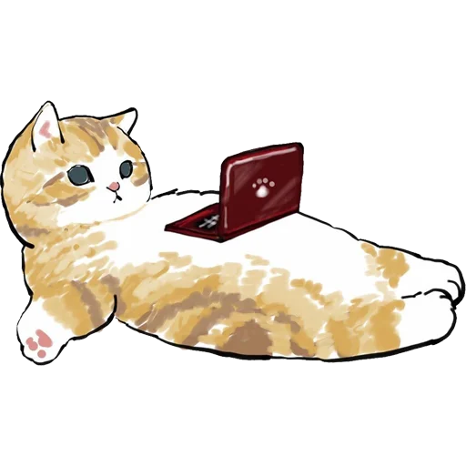cat animal laptop