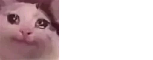 животное млекопитающее домашняя кошка