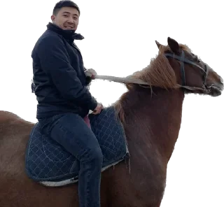 Sticker Блудня мод - 6