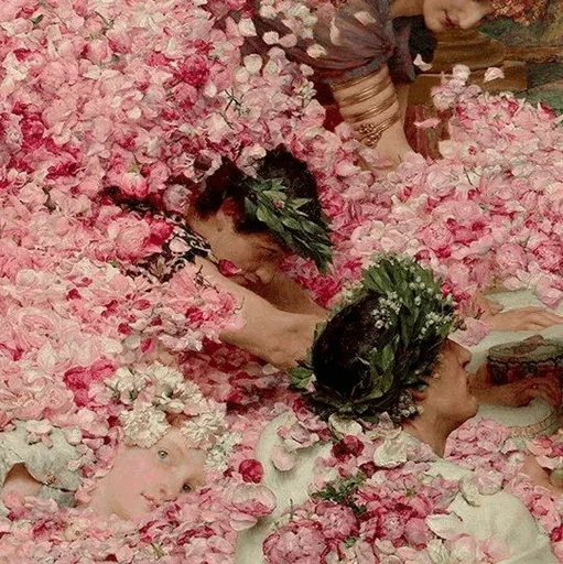 цветок цветок Человек