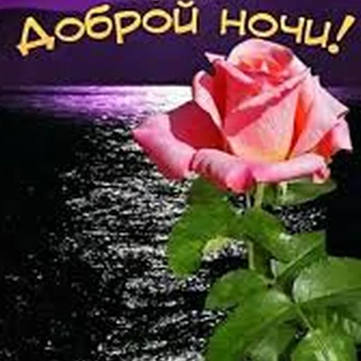 СМС лепесток растение