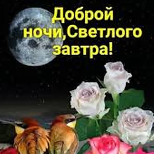 СМС роза луна