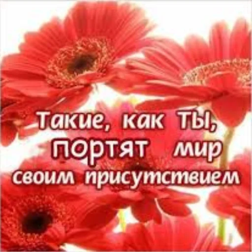 СМС цветок растение