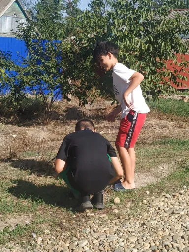 Стикер BoSinn_0ece7_by_TgEmodziBot - 1