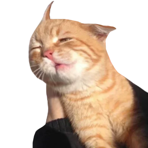 Sticker BoTtLLinJkuJAb_by_stickers_stealer_bot - 1