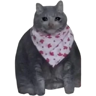 Sticker Больше стикеров 👉🏻 @stickertg4 - 0