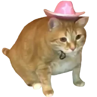 Sticker Больше стикеров 👉🏻 @stickertg4 - 5