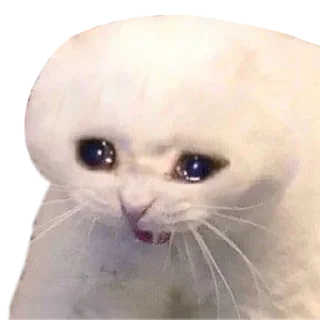 Sticker Больше стикеров 👉🏻 @stickertg4 - 2