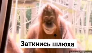 Стикер No gifs only sticks - 3