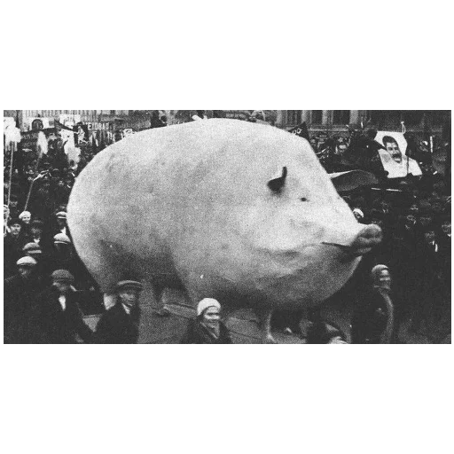 Sticker Bobry_Dobry9 - 1