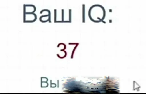 text screenshot font