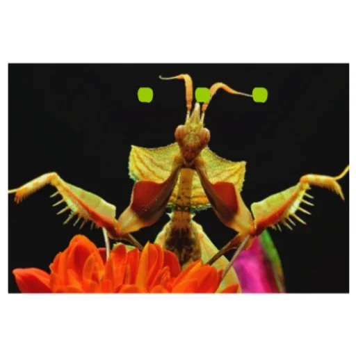 Стикер Bogomolchiki3 - 1