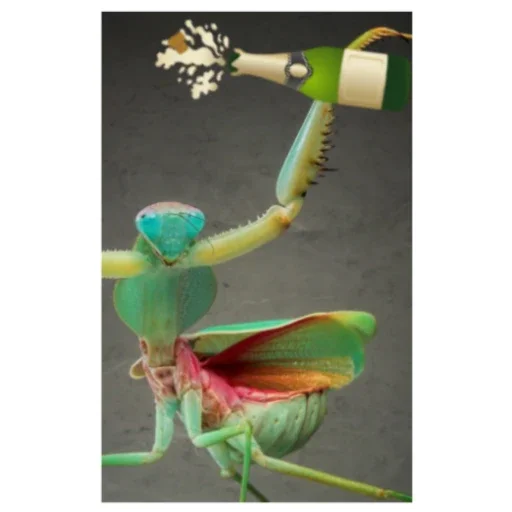 Стикер Bogomolchiki3 - 1