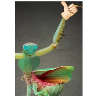 Sticker Богомольчики - 2