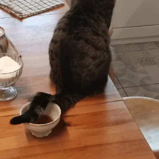 Стикер Богемно?? - 10