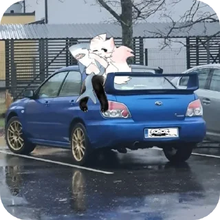 Стикер Бойкиссер  от AK. - 4