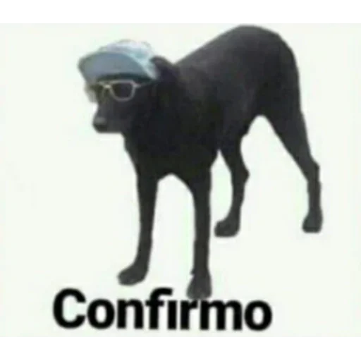 Стикер Bolas de mono by Fran - 10