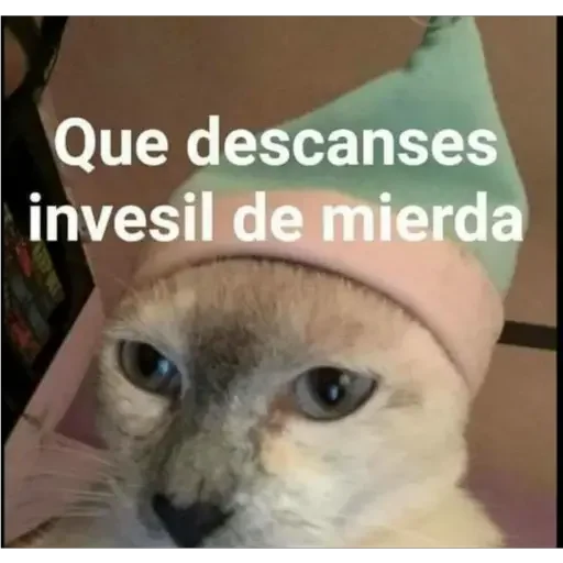 Стикер Bolas de mono by Fran - 0