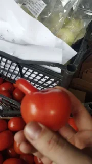 Стикер Болото-27 - 6