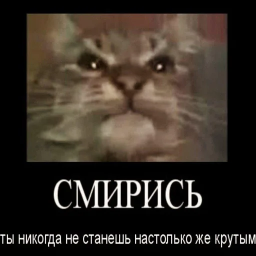 Sticker Bolotoswamp - 1