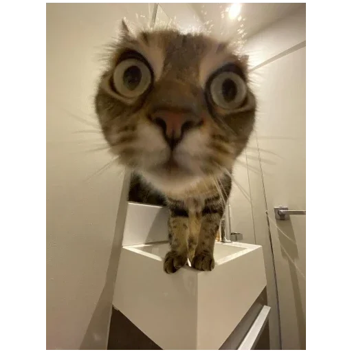 больше стикеров тут: @stikeryy7 - 