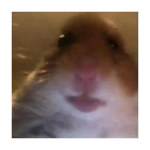 Стикер BolsheStikerovTutStikeryy7 - 1