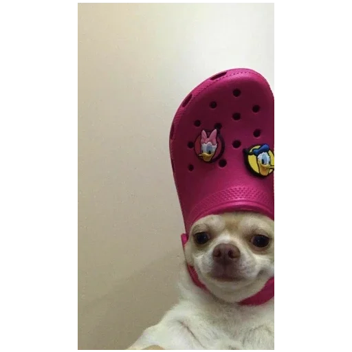 Стикер BolsheStikerovTutStikeryy7 - 1