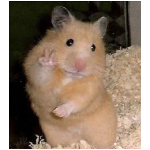 Стикер BolsheStikerovTutStikeryy7 - 1