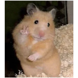 Стикер больше стикеров тут: @stikeryy7 - 1