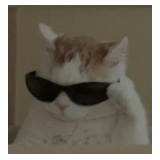 Стикер больше стикеров тут: @stikeryy7 - 2