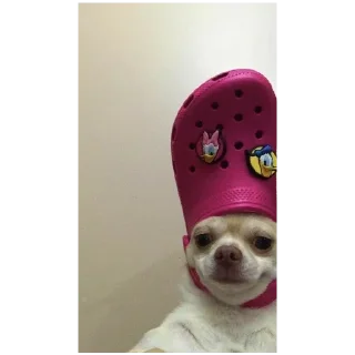 Стикер больше стикеров тут: @stikeryy7 - 5