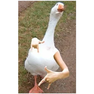 Стикер больше стикеров тут: @stikeryy7 - 10