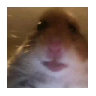 Стикер больше стикеров тут: @stikeryy7 - 6