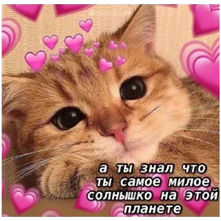 Sticker больше стикеров тут: @stikeryy7 - 6