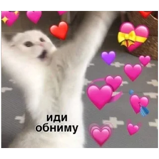 Sticker больше стикеров тут: @stikeryy7 - 5