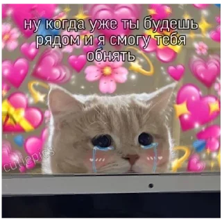 Sticker больше стикеров тут: @stikeryy7 - 0