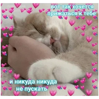 Sticker больше стикеров тут: @stikeryy7 - 3