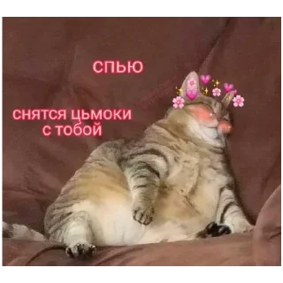 Sticker больше стикеров тут: @stikeryy7 - 1