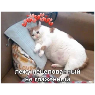 Sticker больше стикеров тут: @stikeryy7 - 9