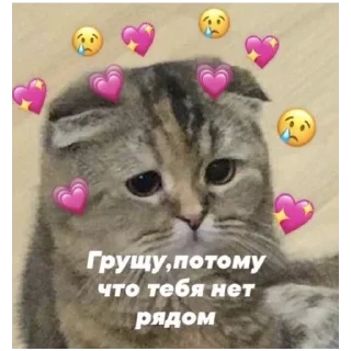 Sticker больше стикеров тут: @stikeryy7 - 7