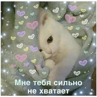 Sticker больше стикеров тут: @stikeryy7 - 10