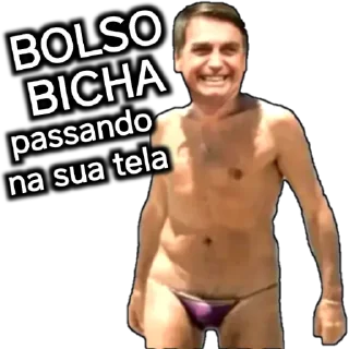 Sticker BolsoLula - 9