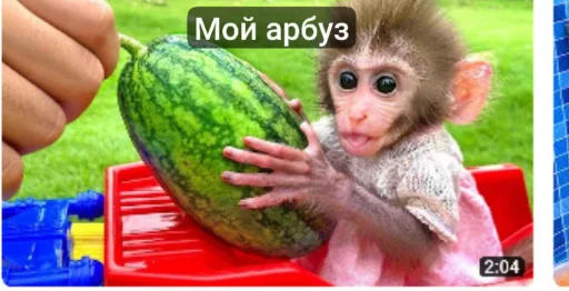 Bon bon obezIna @TgEmodziBot - 