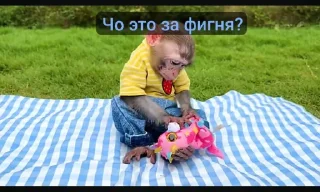 Стикер Bon bon obezIna @TgEmodziBot - 4