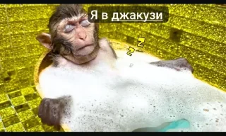 Стикер Bon bon obezIna @TgEmodziBot - 9