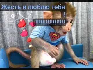 Стикер Bon bon obezIna @TgEmodziBot - 8