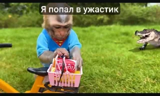 Стикер Bon bon obezIna @TgEmodziBot - 5