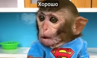 Стикер Bon bon obezIna @TgEmodziBot - 0