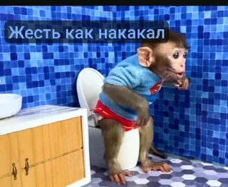 Стикер Bon bon obezIna @TgEmodziBot - 7